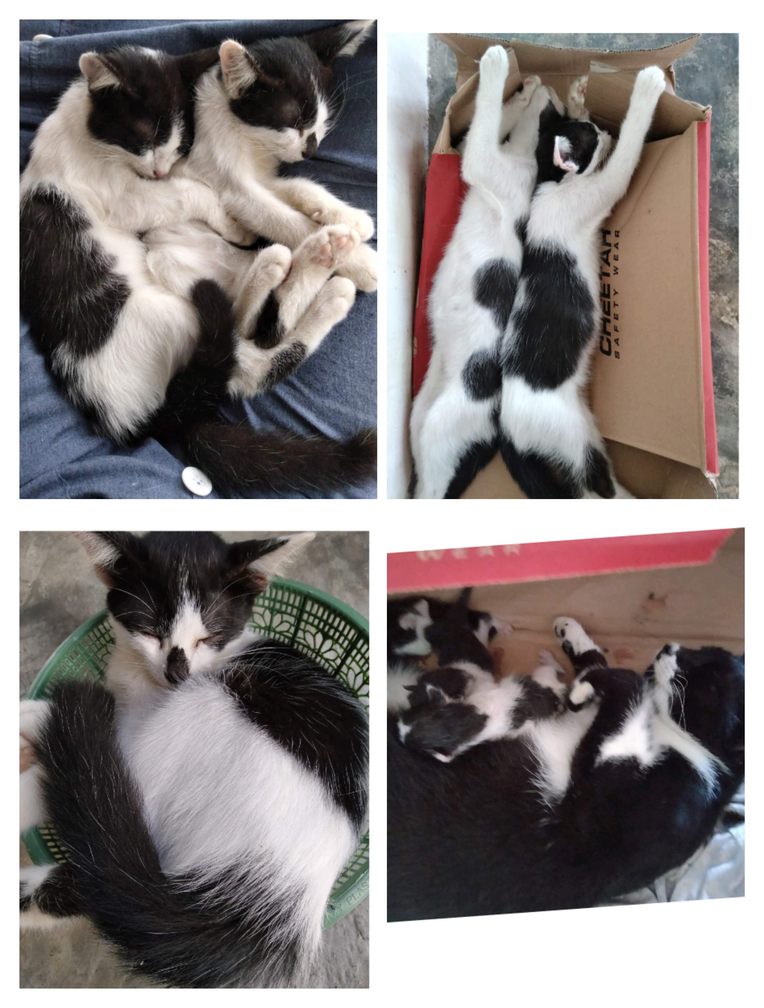 Foto profil Lisna Nefriani